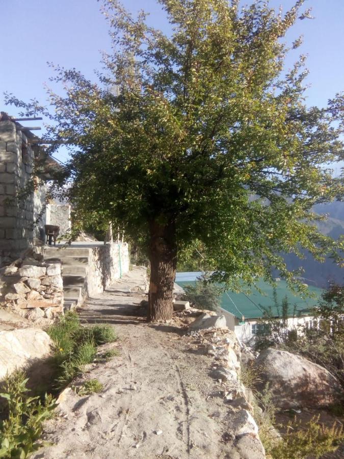 Venus Mountain Resort, Hunza Karimabad  المظهر الخارجي الصورة
